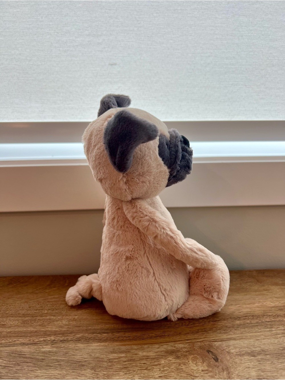Jellycat Bashful Pug BNWT - Picture 2 of 5